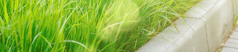 Boordstenen plaatsen, zo eenvoudig is het!