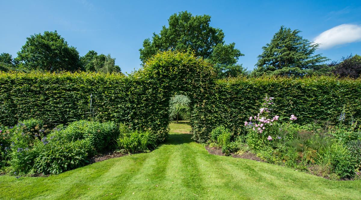 Groene grenzen: zo creëer je privacy én sfeer in je tuin