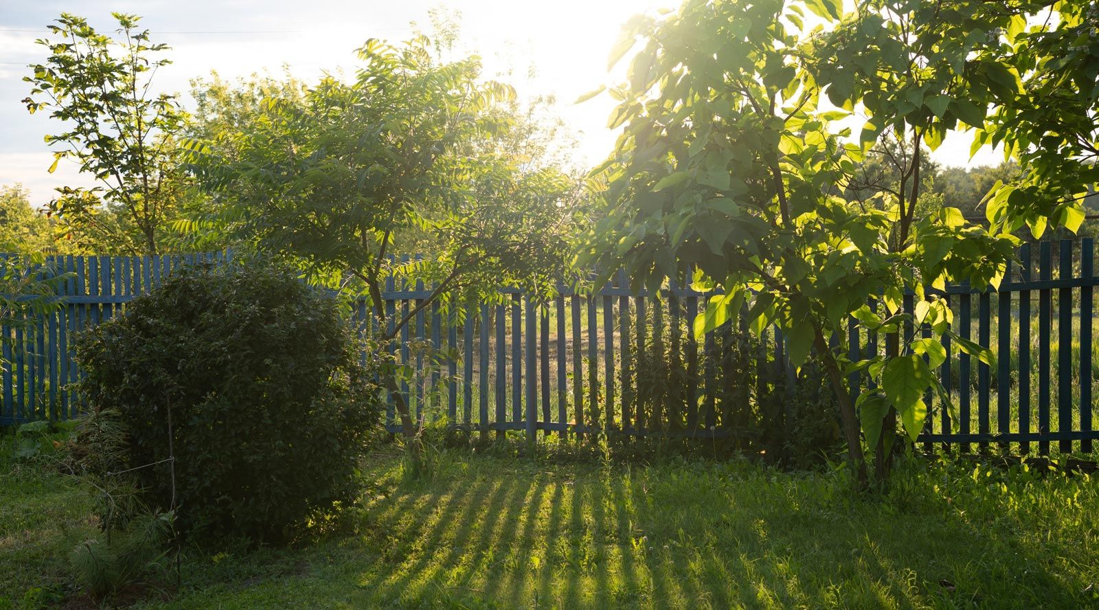 Bouwkundige aspecten van houten erfafscheidingen in buitenruimtes