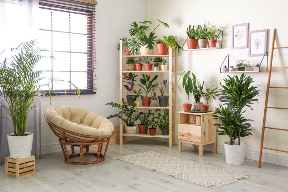 muurdecoratie woonkamer planten
